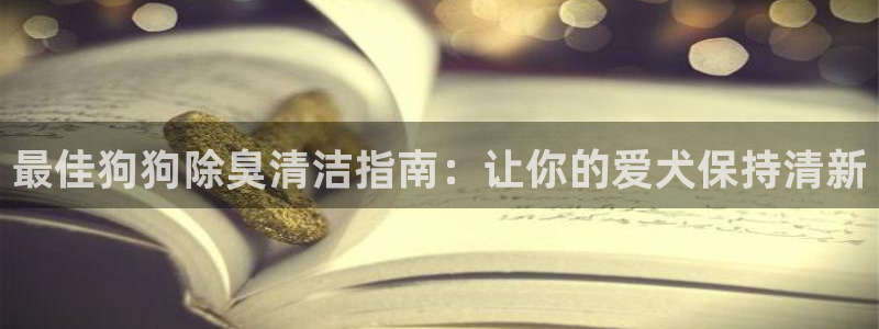 z6尊龙z6：最佳狗狗除臭清洁指南：让你的爱犬保持清新