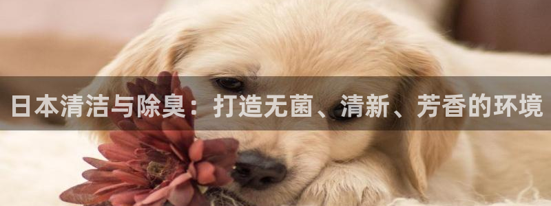 尊龙人生就是傅官网：日本清洁与除臭：打造无菌、清新、芳香