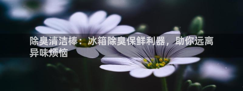 尊龙官方平台：除臭清洁棒：冰箱除臭保鲜利器，助你远离
异