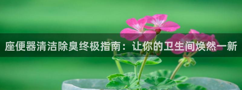 尊龙凯时 人生就是搏!：座便器清洁除臭终极指南：让你的卫
