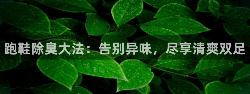 尊龙官网注册：跑鞋除臭大法：告别异味，尽享清爽双足