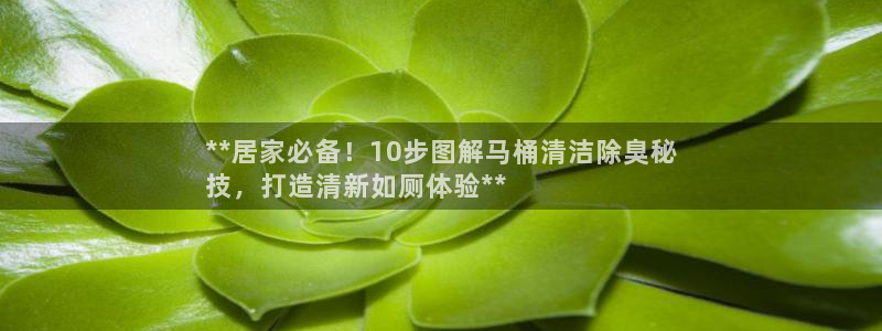 尊龙凯时人生就博官网：**居家必备！10步图解马桶清洁除