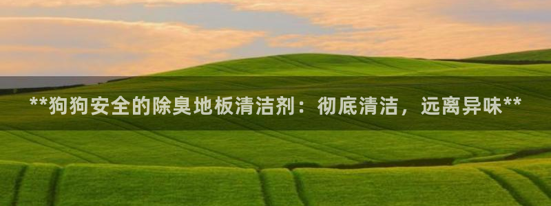 尊龙官网下载：**狗狗安全的除臭地板清洁剂：彻底清洁，远