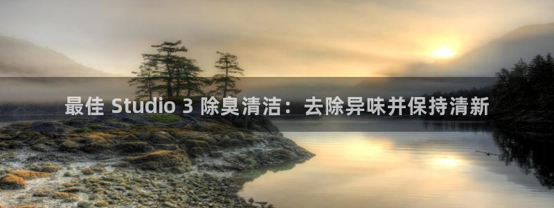 尊龙凯时取款一直支付中：最佳 Studio 3 除臭清洁