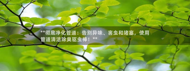 尊龙凯时链接：**彻底净化管道：告别异味、害虫和堵塞，使