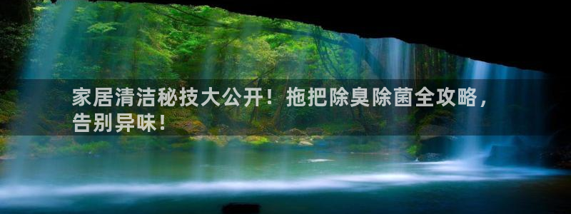 尊龙凯时 人生就是搏：家居清洁秘技大公开！拖把除臭除菌全