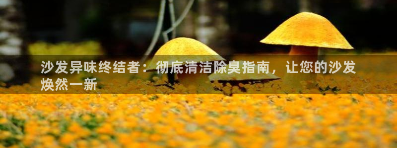凯时ag旗舰厅登录：沙发异味终结者：彻底清洁除臭指南，让