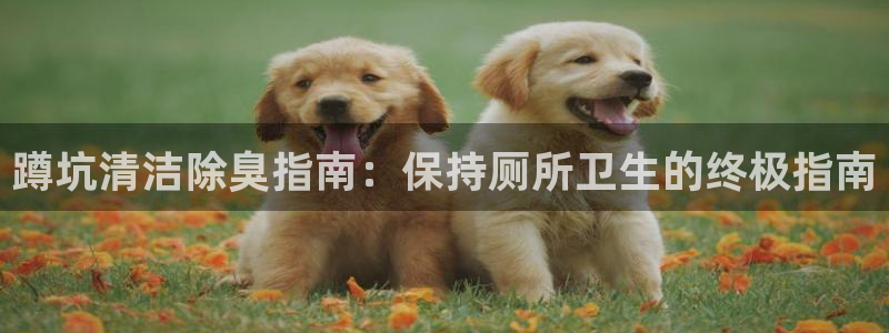 尊龙凯时官网入口：蹲坑清洁除臭指南：保持厕所卫生的终极指