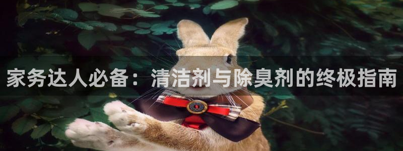 尊龙凯时官网平台：家务达人必备：清洁剂与除臭剂的终极指南