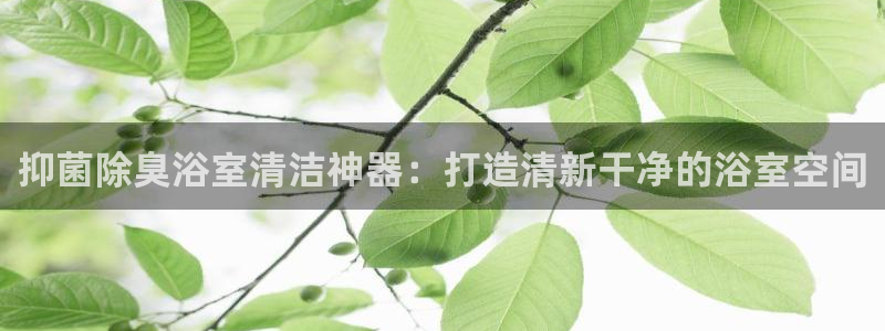 尊龙凯时集团：抑菌除臭浴室清洁神器：打造清新干净的浴室空