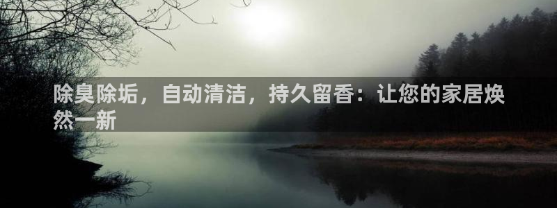 尊龙凯时最新平台登陆：除臭除垢，自动清洁，持久留香：让您