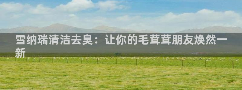 尊龙d88官网登录下载：雪纳瑞清洁去臭：让你的毛茸茸朋友