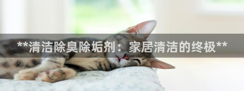 尊龙凯时和九游会哪个平台好一点：**清洁除臭除垢剂：家居