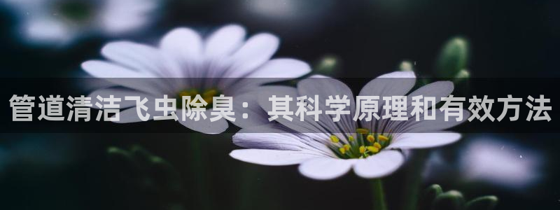 尊龙凯时城游戏官网：管道清洁飞虫除臭：其科学原理和有效方
