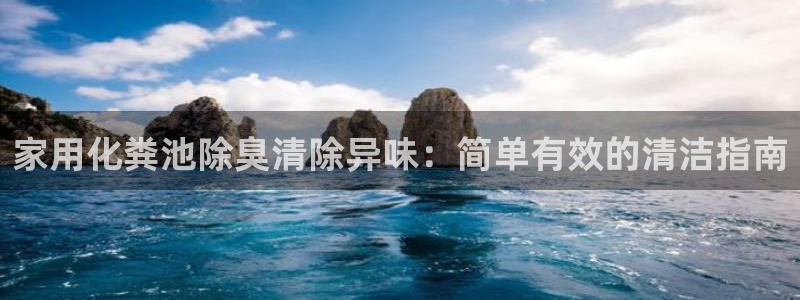 尊龙ag旗舰厅手机版：家用化粪池除臭清除异味：简单有效的