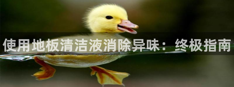 凯时官网手机版下载：使用地板清洁液消除异味：终极指南