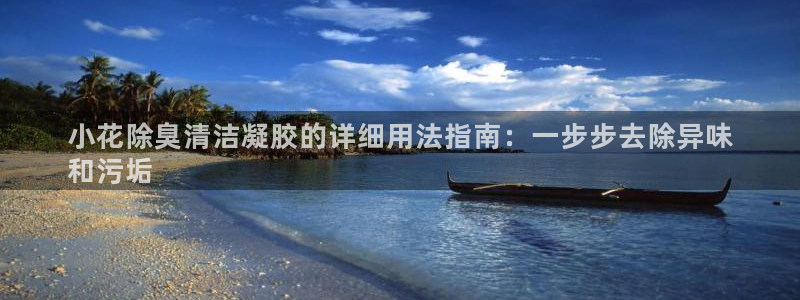 尊龙1003尊龙 - 百度：小花除臭清洁凝胶的详细用法指