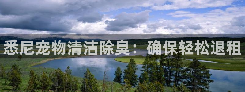 凯时a88：悉尼宠物清洁除臭：确保轻松退租