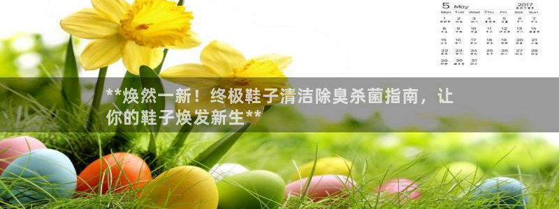 新版尊龙99：**焕然一新！终极鞋子清洁除臭杀菌指南，让