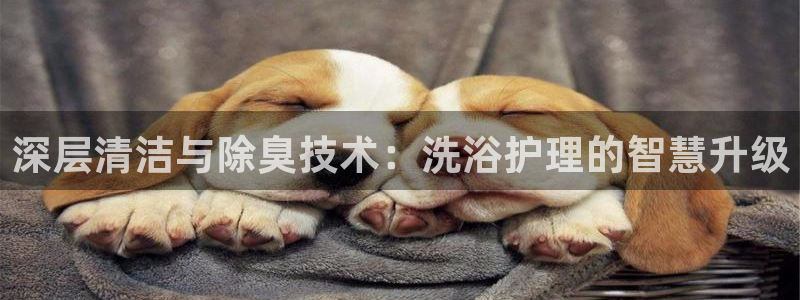 尊龙凯时平台正规吗