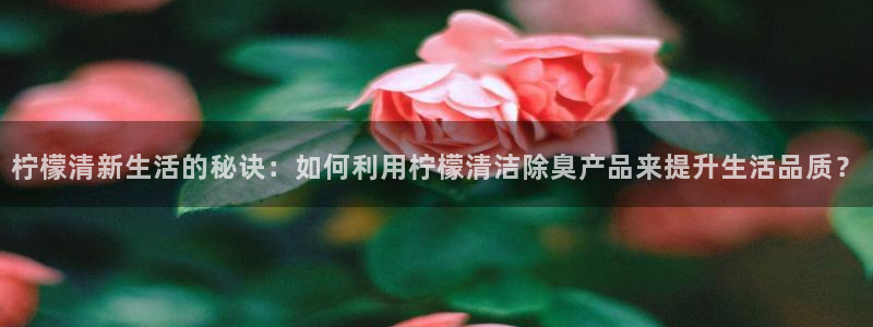 凯时网上官方网站