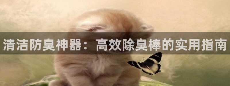 尊龙凯时网页版