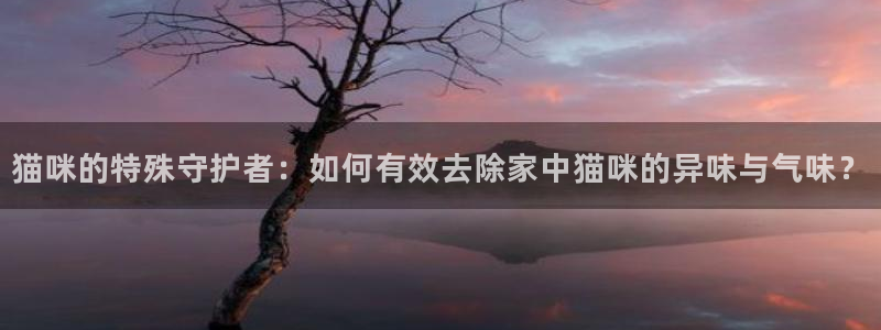 ag尊龙凯时俱乐部