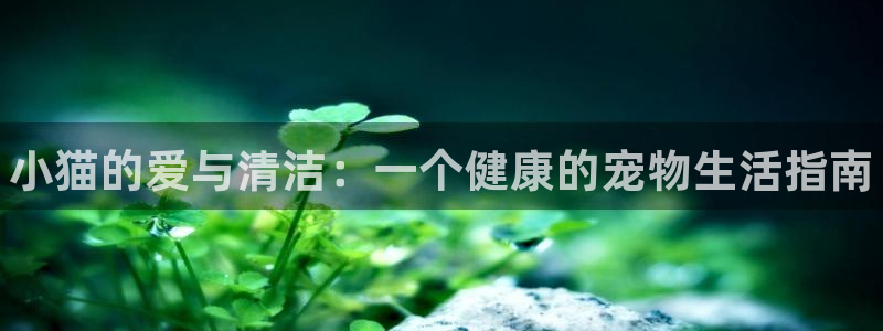 尊龙am i blue