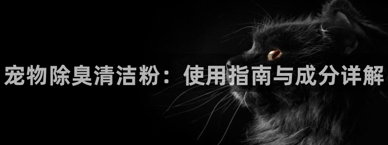 d88尊龙官网手机app