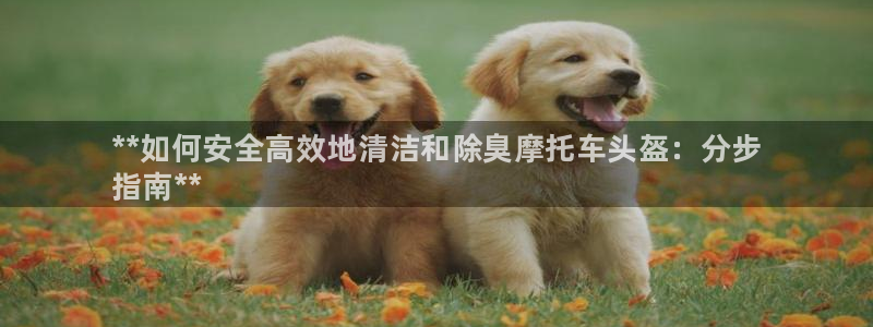 凯时官网