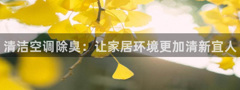 尊龙凯时白家乐