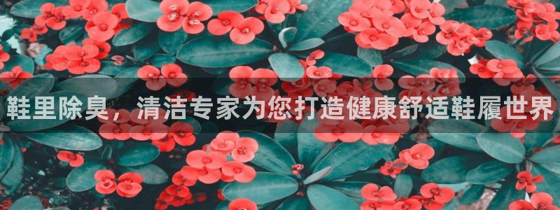 尊龙人生就是博ag旗舰厅