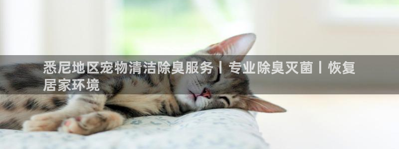 新版尊龙99：悉尼地区宠物清洁除臭服务丨专业除臭灭菌丨恢