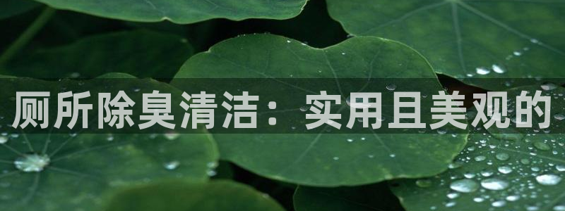 尊龙凯时网站赌愽是真的吗