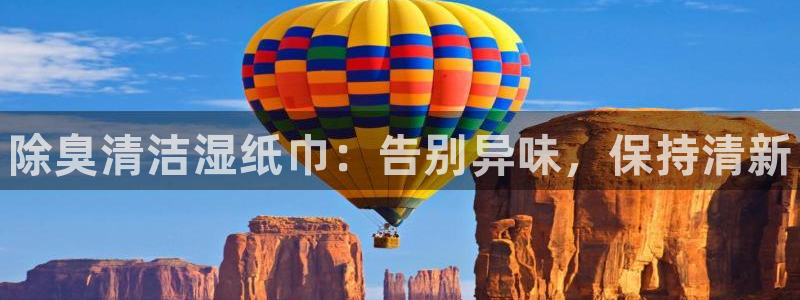 百度一下尊龙：除臭清洁湿纸巾：告别异味，保持清新
